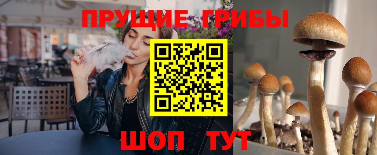 Псилоцибиновые грибы Psilocybe Ростов Великий